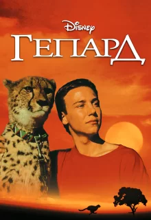 Гепард | Cheetah